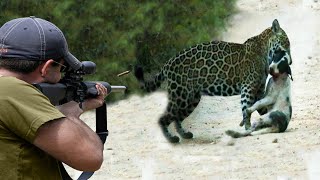 видео: Охота на собакоедов с помощью ружей 😱🔥👍👌 Часть 4 картинка: Охота на собакоедов с помощью ружей 😱🔥👍👌 Часть 4