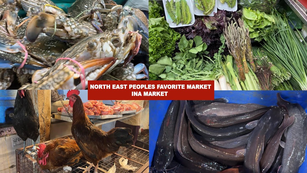 North East Peoples Favorite Market In Delhi | INA Market