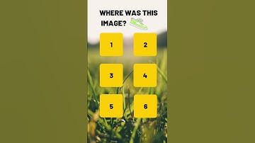 Memory Challenge | Train Your Brain #21 #shorts