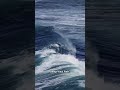 5 Ocean Secrets Hidden 36,000 Feet Deep