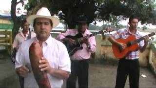 Video thumbnail of "Pasacalle Apasionadamente Valentin Vera Vinces - Ecuador"