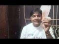 वेल्थ प्लान