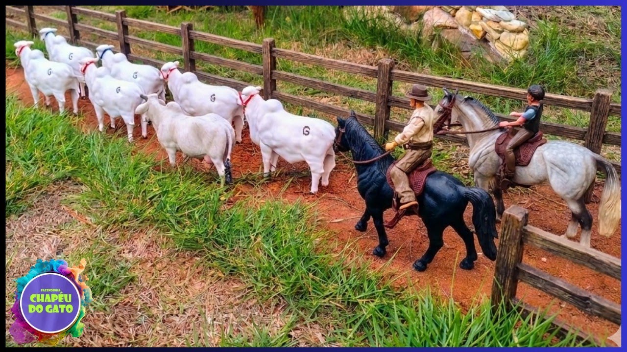 Tocando a Boiada Nelore na Estrada de Terra