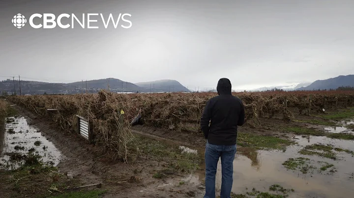 Abbotsford businesses affected by flooding