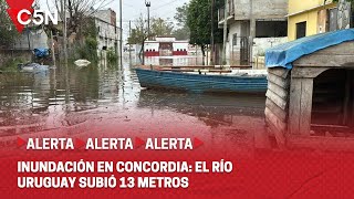 GRAVES INUNDACIONES en CONCORDIA: EL RÍO URUGUAY SUBIÓ 13 METROS y HAY 500 EVACUADOS