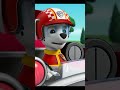 Paw Patrol Ready Race To The Rescue With Cars 1 DVD Menu 