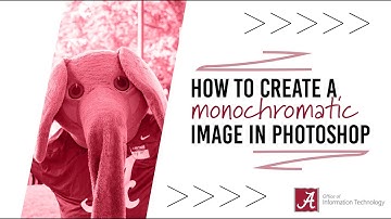 How to create a monochromatic image in Photoshop