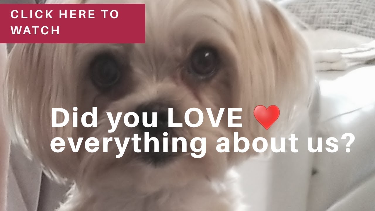 It's 100% FREE if you did not LOVE your experience!