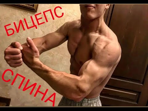 Базовая Тренировка Спины и Бицепса на Турнике