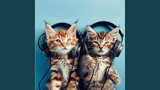 Gentle Purr Chords