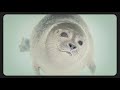 Judy Collins & Jonas Fjeld - Northwest Passage (Lyric Video)