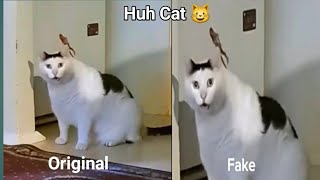 Huh! Huh! Cat ( Original Vs Fake Video ) Resimi