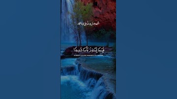 بداية نور من سورة الكهف#اكسبلور 🌟 كتاب قيّم… هدى ونور لكل من قرأه #لايك