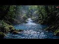 Enchanted Forest at Midnight — A River Glowing Under the Stars