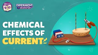 Does Potato Conduct Electricity |  Chemical Effects of Electric Current on a Potato | YtShorts