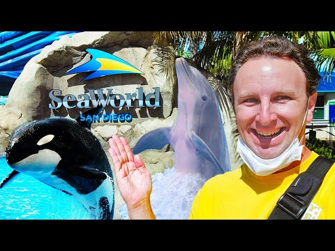 Sea World San Diego Tips: 9 Things to Know in 2021 hqdefault
