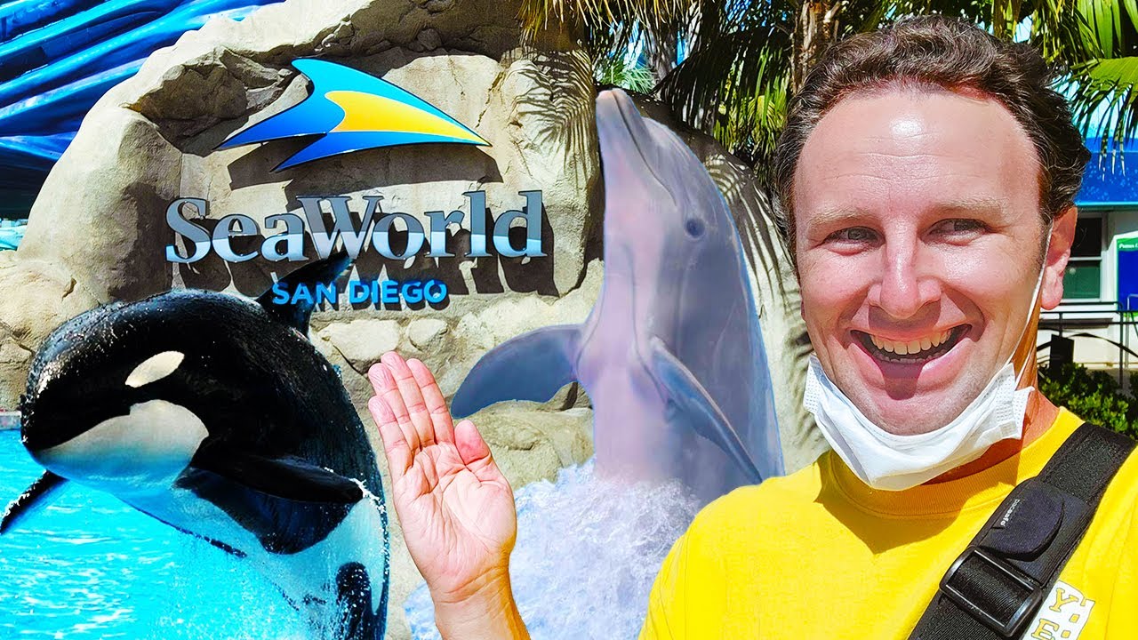 Sea World San Diego Tips 9 Things to Know in 2021 YouTube