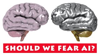 Should we fear AI?