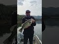 5 jours de pêche au Portugal, bass et sandres dans un décor de rêve.#douro #fishingtiktoks #lure #