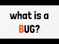 What is a software bug