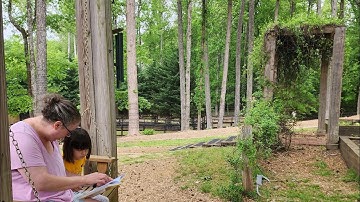 The Jacob’s Ladder Group Corporate Video