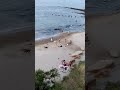 Собачий пляж Одесса