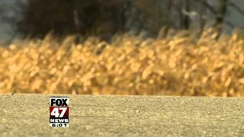 Ingham County Investigates Drive-by Shootings