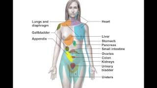 Chapter 13.2 Sensory Processing BIO201