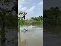 jumping tree amazing net attack bigfish 🐋🦈💚by #fishing #casnet #fish #subscribe #consent