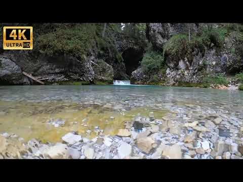 Брук энс (brooke ence). Скин слендера в брук хевен. Видео в брук хевене. Видео в брук хевене. Видео в брук хевене.