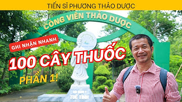Khám phá 100 cây thuốc Nam – Kho báu sức khỏe chưa được bật mí!
