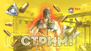 Стрим Standoff 2