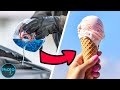 Top 10 Crazy Ingredients In Your Favorite Products
