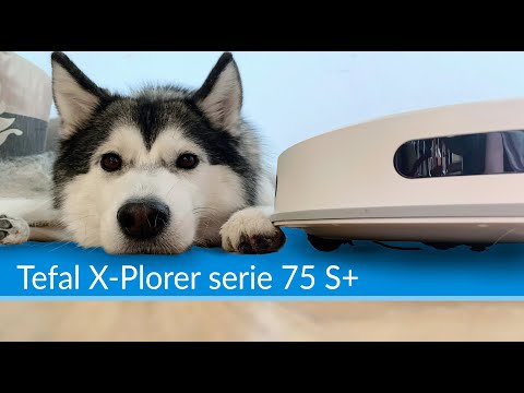 Tefal X-Plorer serie 75 S+ RG8597 - czy polubi się z moim psem?