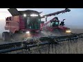 Long Version ~ 2021 Soybean Harvesting in Central Illinois with Case IH 8250 w/ MacDon headers