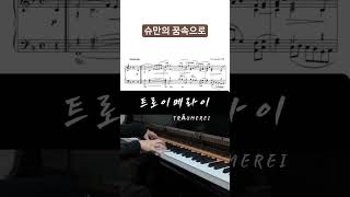 #pianocover #piano #schumann #Träumerei #dream #classic