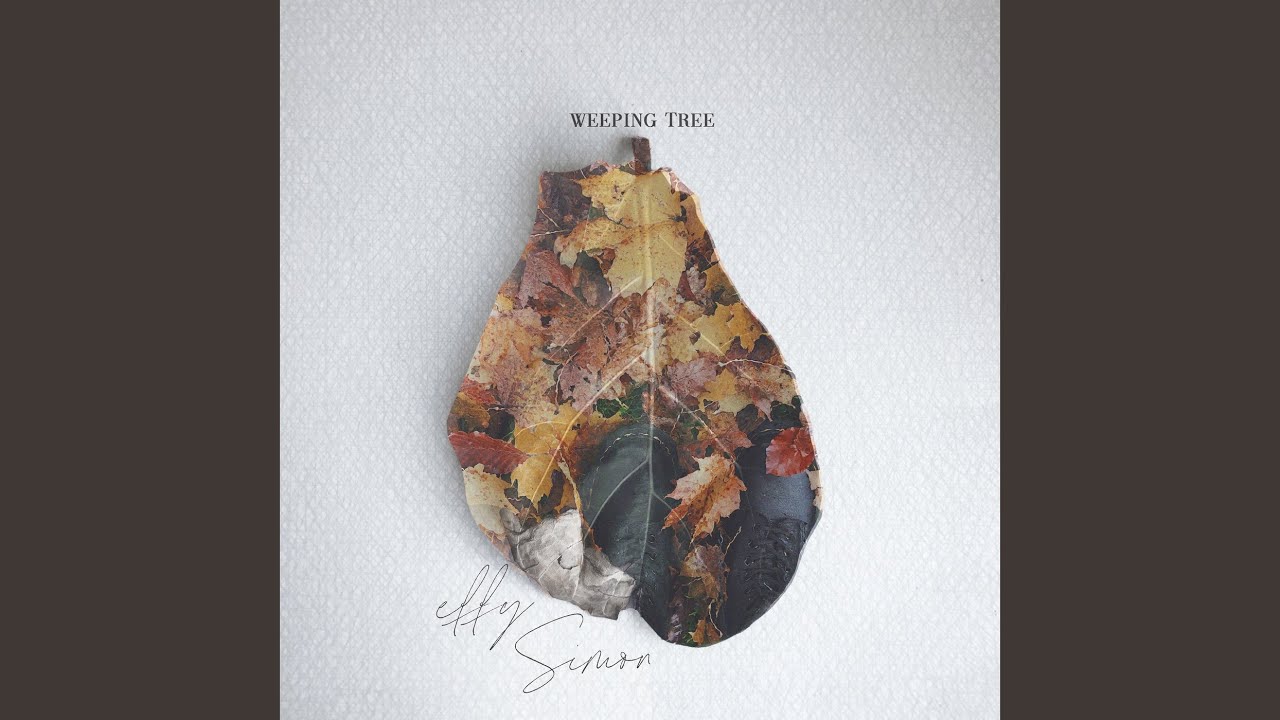 Watch Weeping Tree on YouTube Watch Weeping Tree on YouTube