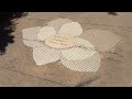 Solo Travel | Atlanta Botanical Gardens | 2024