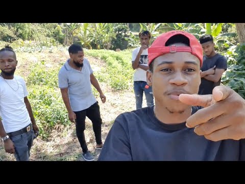 Sorrel in April? Farm tour | Cabbage, Carrot, Tomatoes, Sweetest Oranges ever! Vlog #14