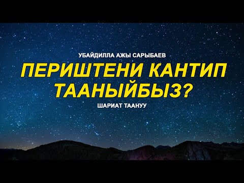 Video: Периштени кантип таанууга болот