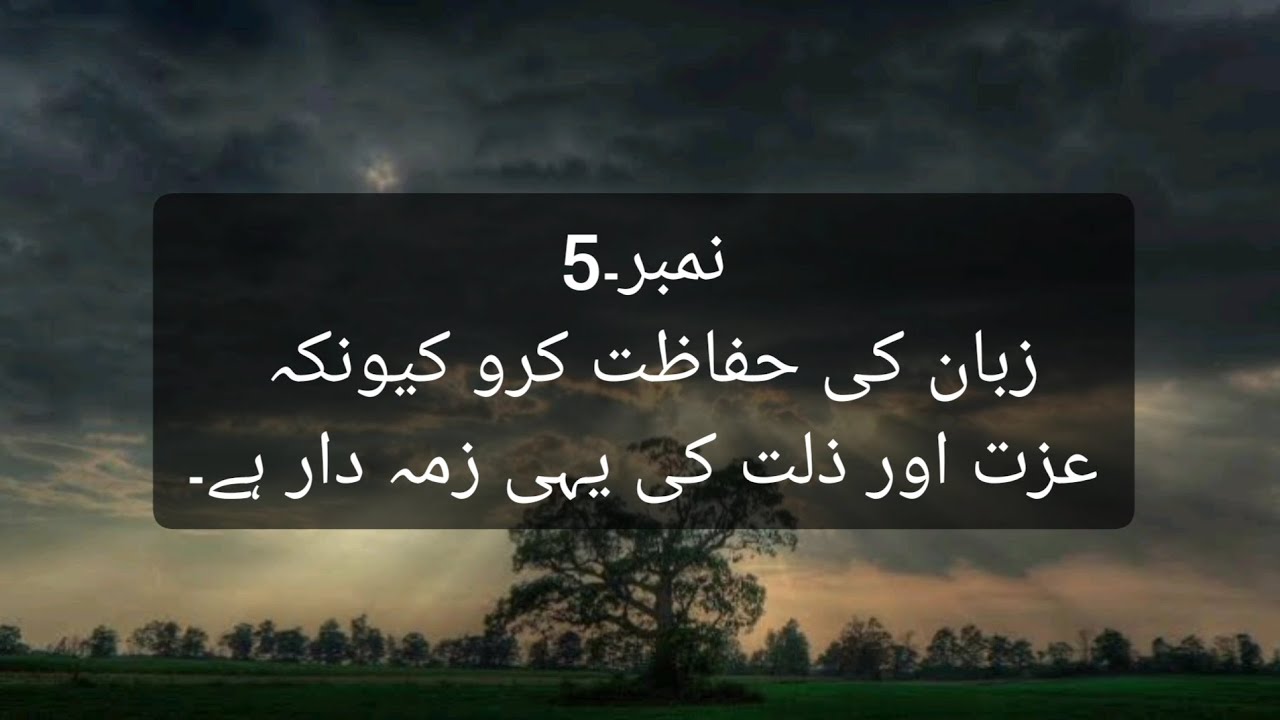 Zuban ki hifazat karo