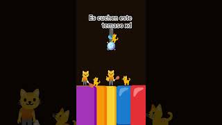 gato en los comentarios 😸