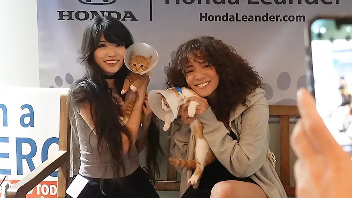 Watch the video about Emiru Cat Adoption Stream w/ Cinna and Bonnie (FULL VOD)