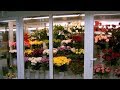 Как правильно заказывать цветы на праздник День Влюблённых
