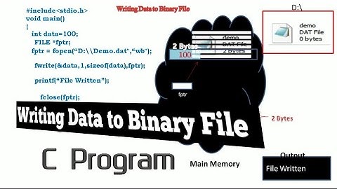 Writing Data to Binary File C Program in Hindi