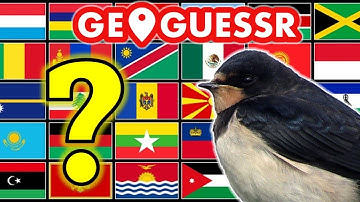 Can A GeoGuessr Pro Name Every Flag in the World?