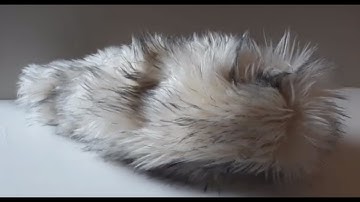 Building Interactions Through the Sense of Touch  emotion, affect, and robotics