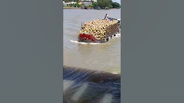 #shorts ghe dừa tăng tốc vượt cống 7 cữa