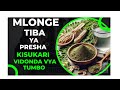Jinsi Ya Kutumia Mlonge Kutibu Kisukari Presha Vidonda Vya Tumbo Jinsi Ya Kutumia Mlonge Kutibu Kisukari Presha Vidonda Vya Tumbo