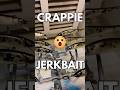 Realistic Foiled Crappie Jerkbait | LETR G Custom Baits #FishingShorts